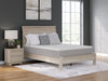 Terra Sleep Medium Mattress Myrtle Mattress