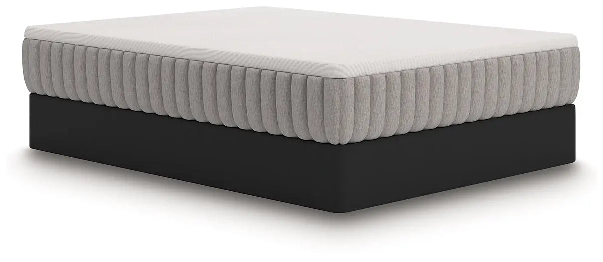 Terra Sleep Medium Mattress Myrtle Mattress