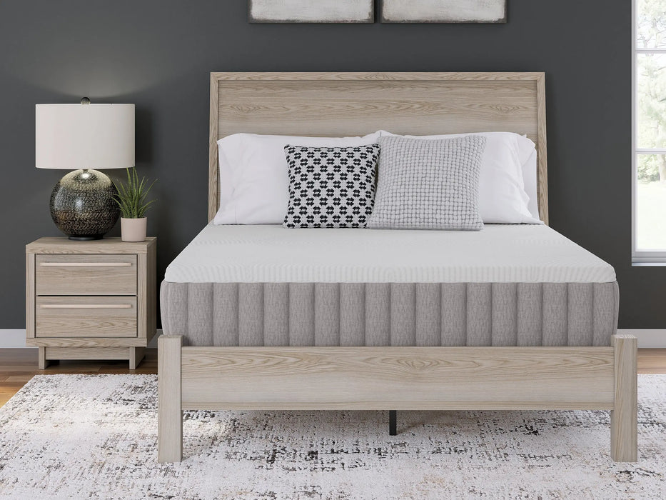 Terra Sleep Medium Mattress Myrtle Mattress