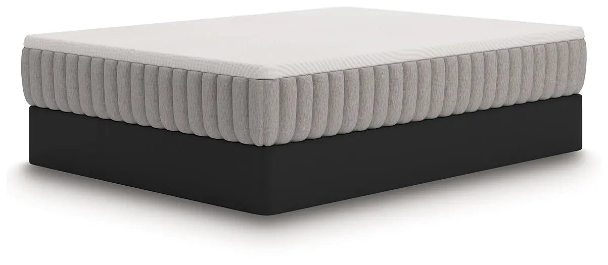 Terra Sleep Medium Mattress Myrtle Mattress